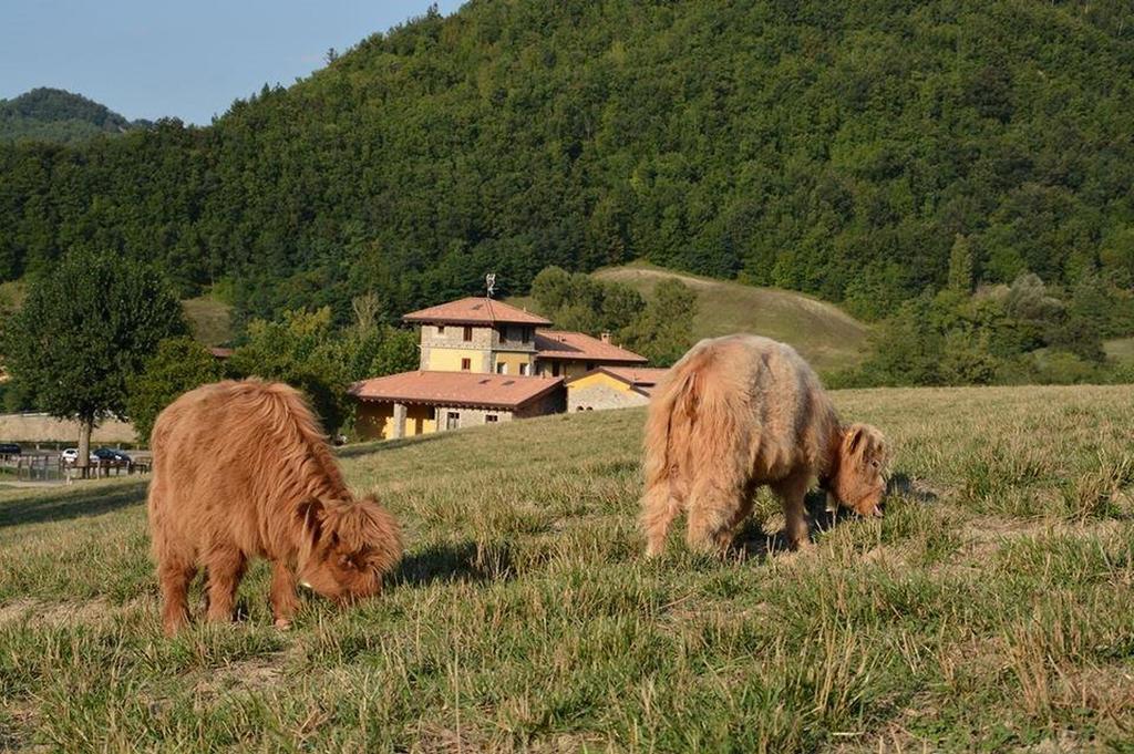 فيلا San Sebastiano Curoneفي Agriturismo Ca Bella المظهر الخارجي الصورة