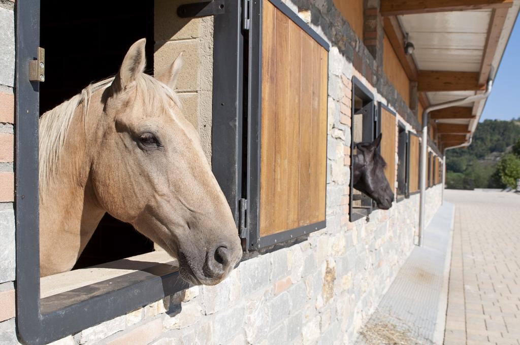 فيلا San Sebastiano Curoneفي Agriturismo Ca Bella المظهر الخارجي الصورة